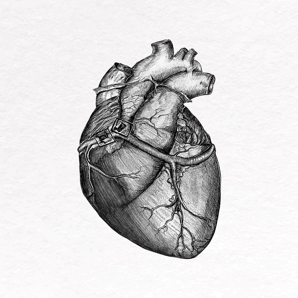 Gray heart clip art, health & wellness design vector