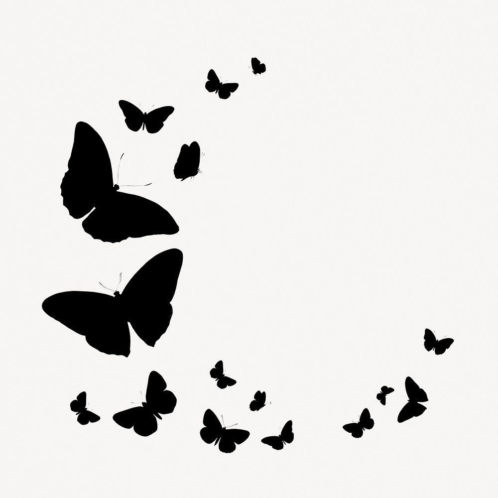 Butterfly frame silhouette, cute graphic | Photo - rawpixel