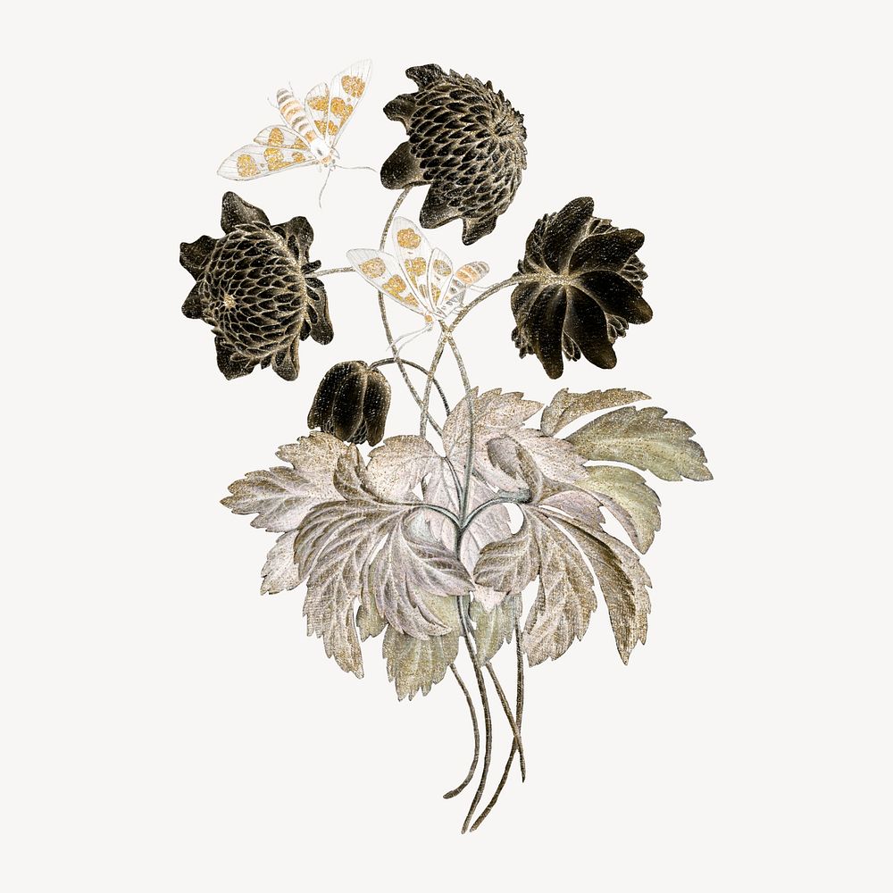 Aesthetic flower graphic, vintage illustration