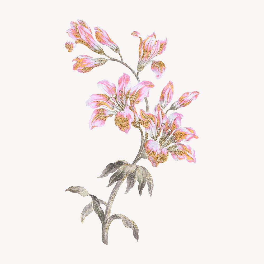 Pink flower illustration, vintage graphic