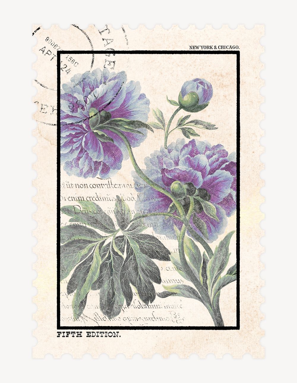Flower postage stamp illustration, vintage graphic