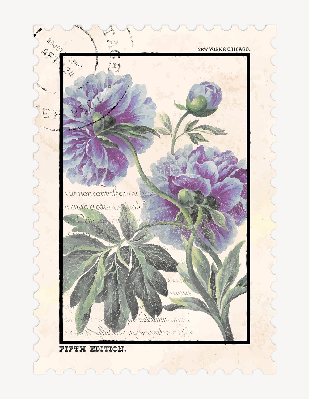 Flower postage stamp illustration, vintage graphic vector