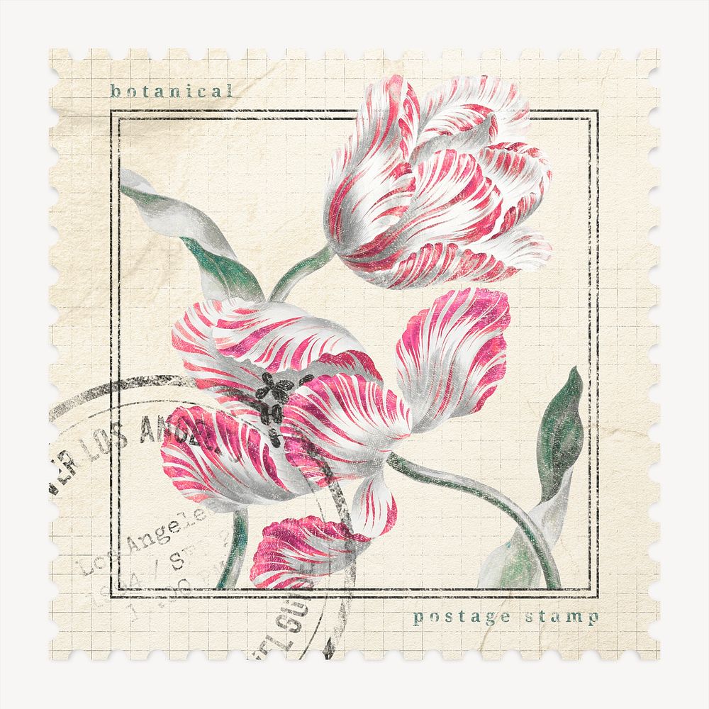 Flower postage stamp illustration, vintage graphic