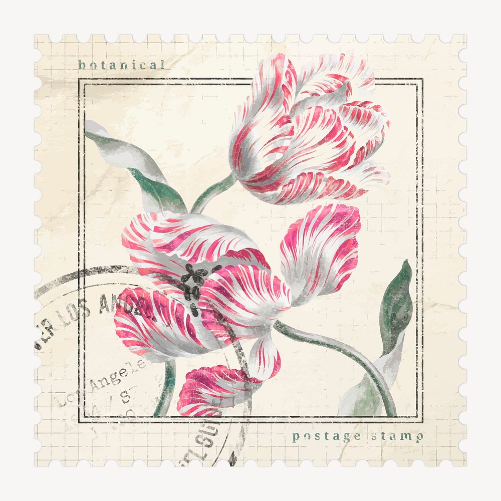 Flower postage stamp illustration, vintage graphic vector