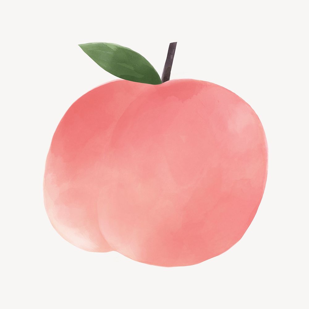 Cute peach clipart, watercolor design