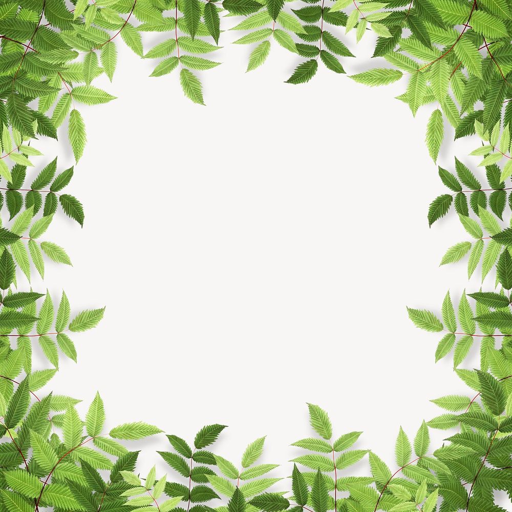 Green leaf frame background, white design psd