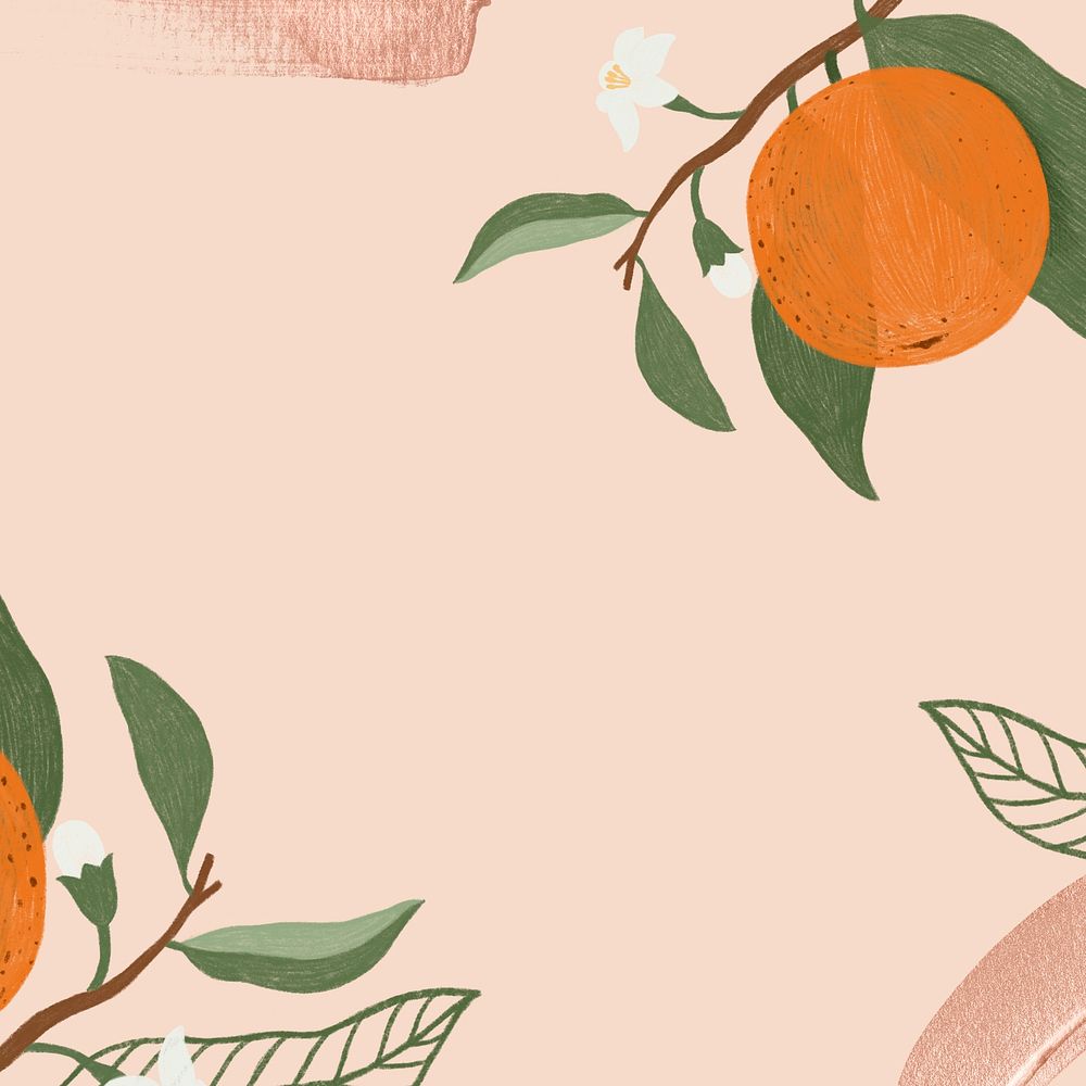 Hand drawn orange fruit branch frame design illustration