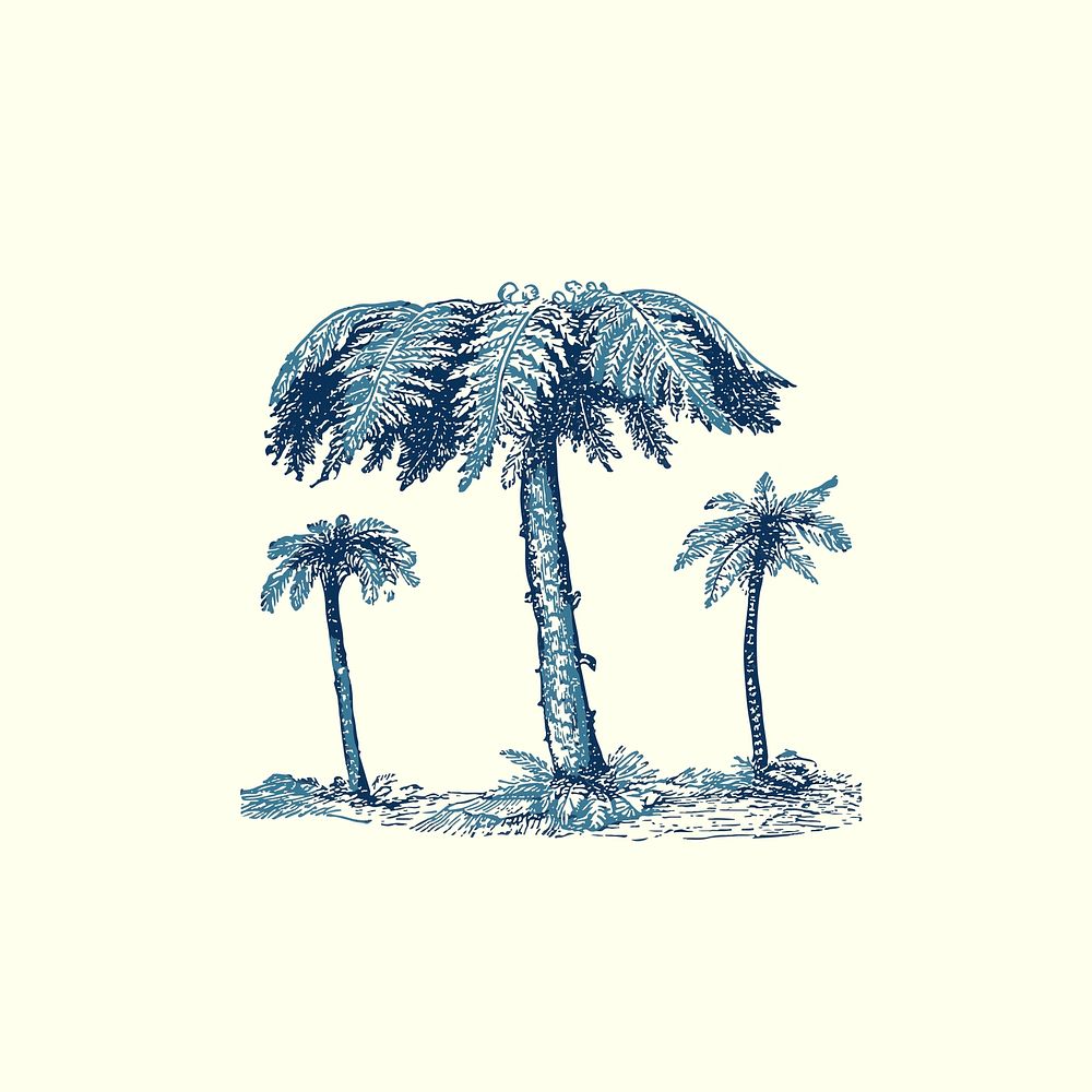 Blue fern tree vector hand drawn illustration