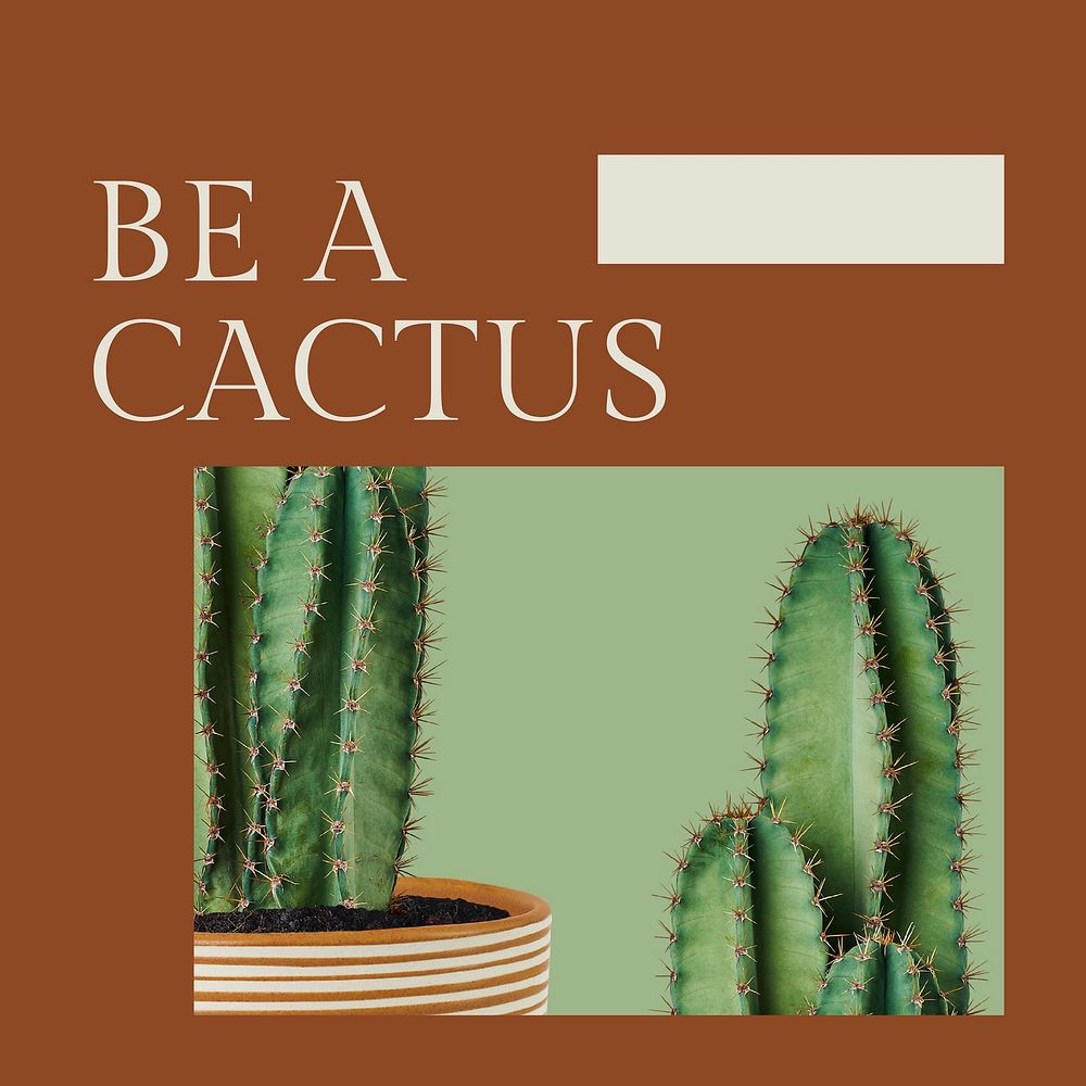 Inspirational quote botanical template vector with cactus social media post in minimal style