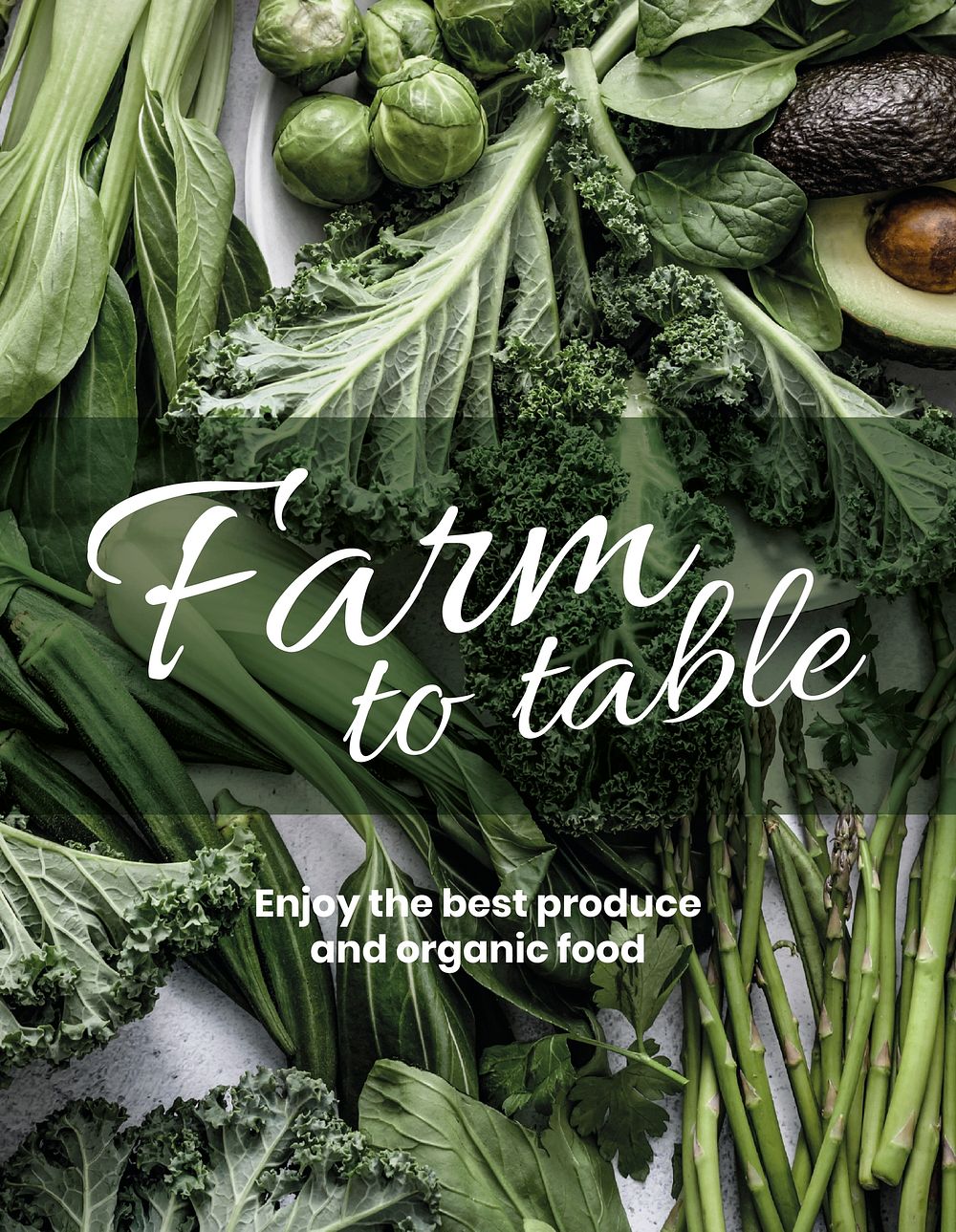Healthy food  flyer template, editable text vector