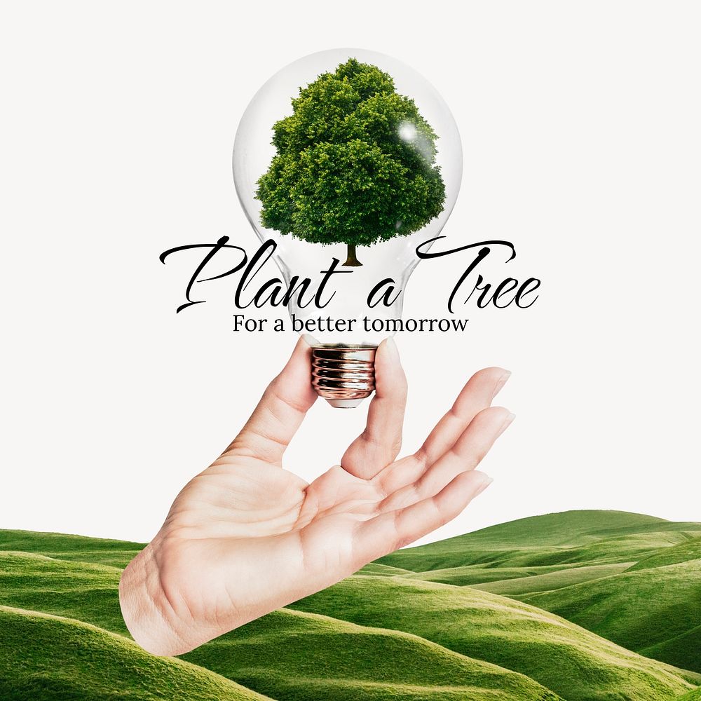 Plant trees Instagram post template, editable text vector