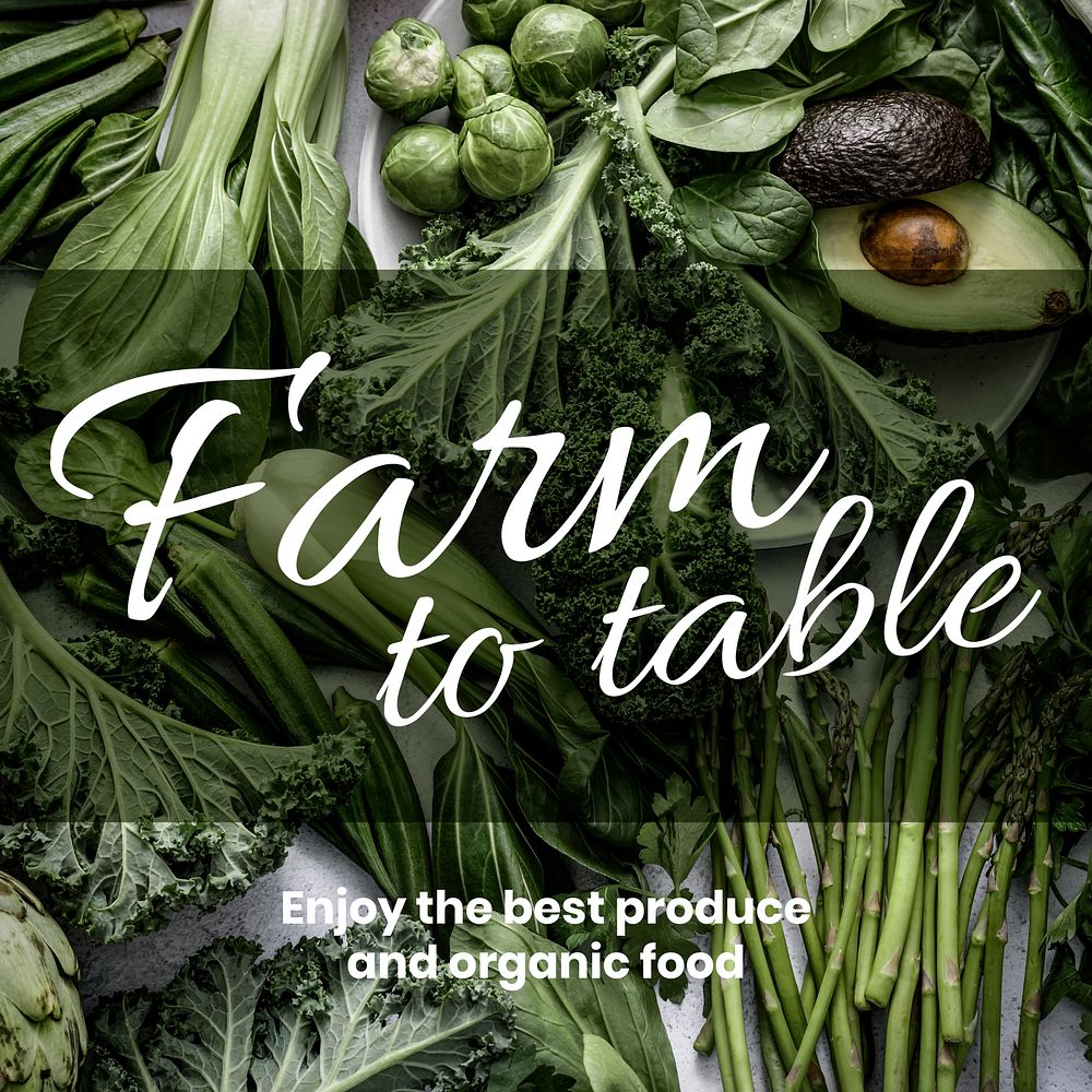 Healthy food  Instagram post template, editable text vector