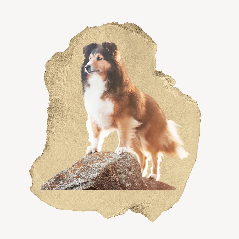 Sheltie dog, ripped paper collage element