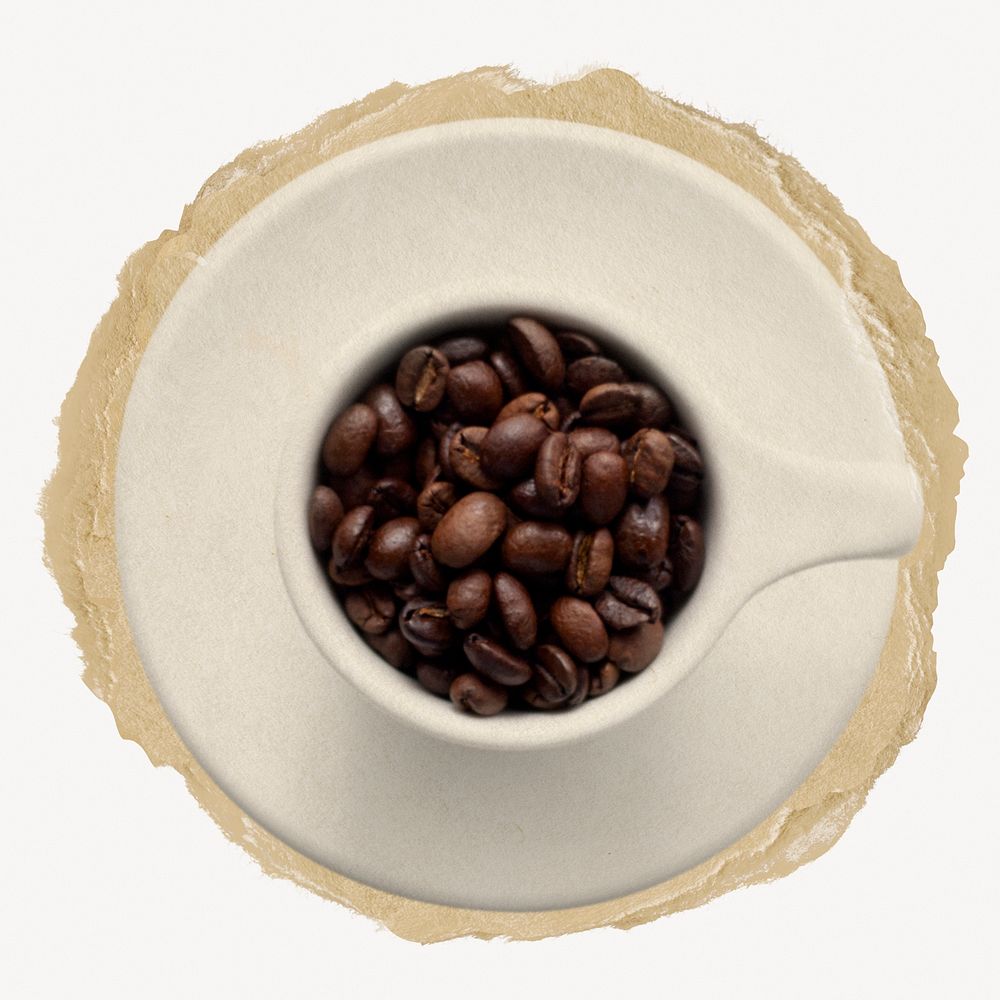 Coffee beans cup, food & drink on torn paper