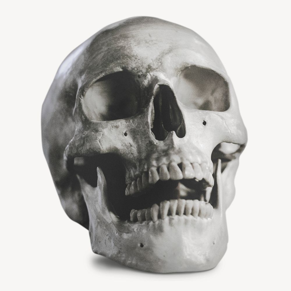 Human skull sticker, Halloween decor image psd