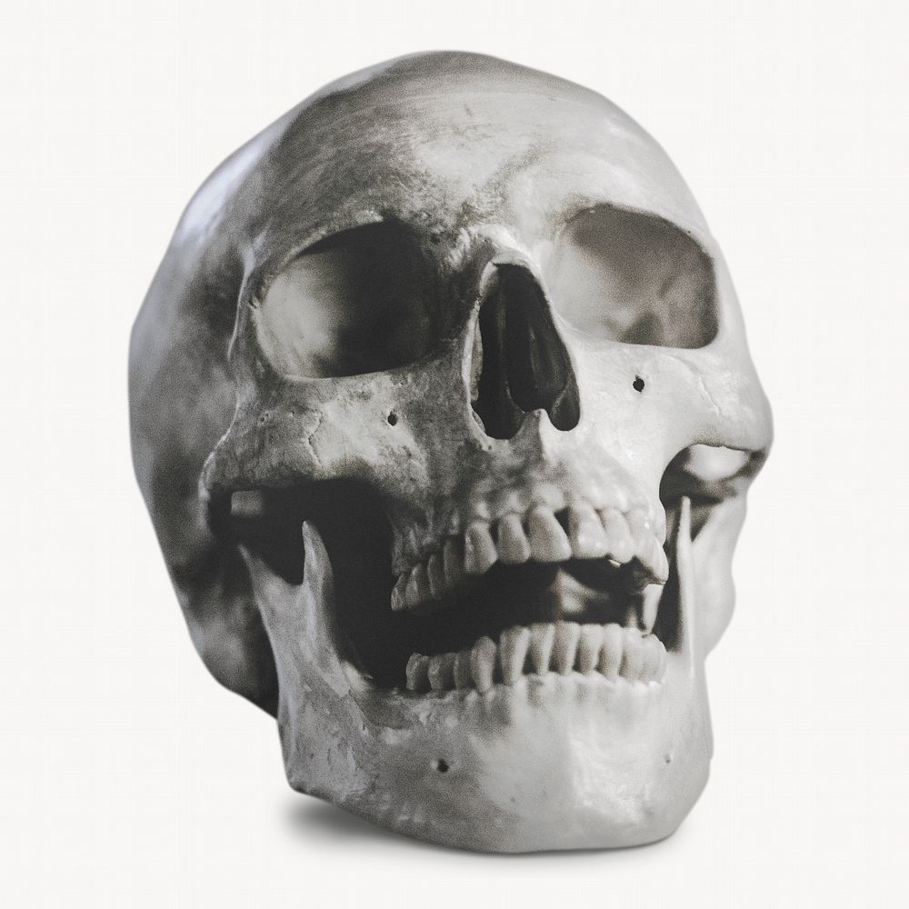 Human skull, Halloween decor isolated image