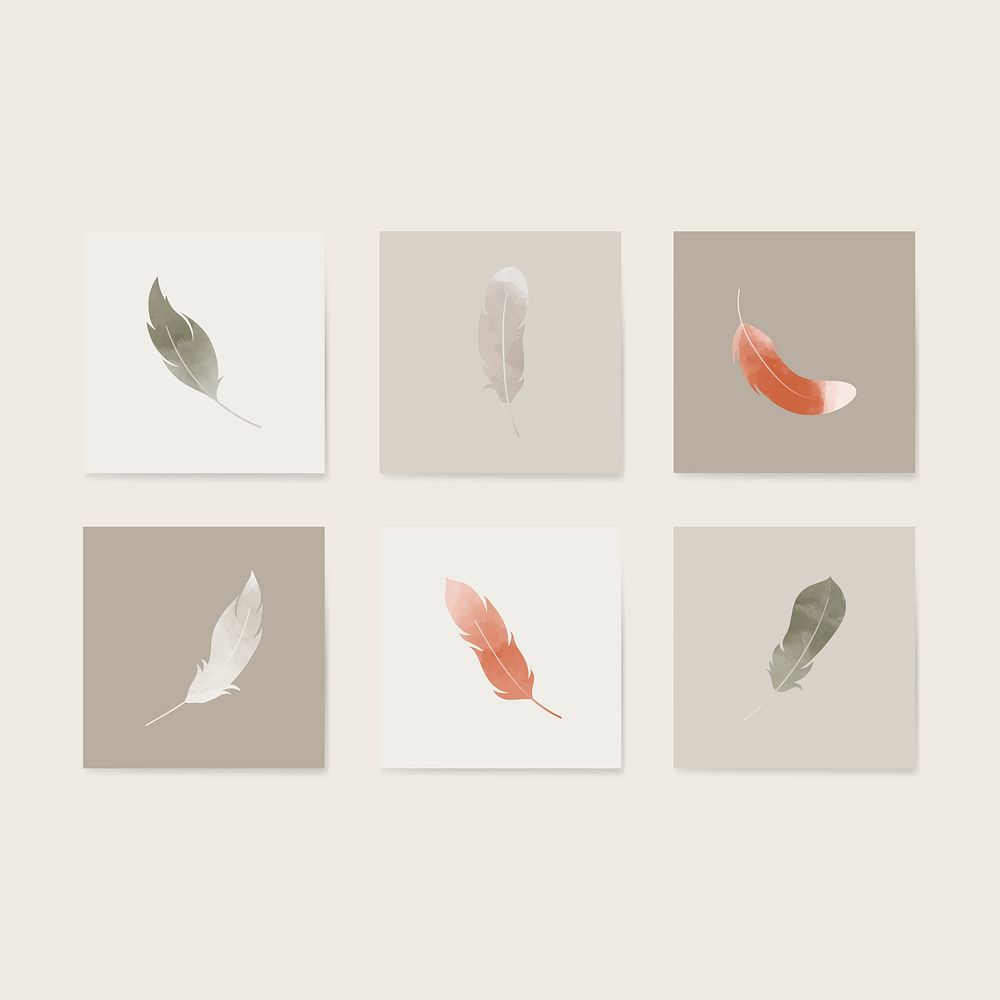 Gray and brown feather collection vectors