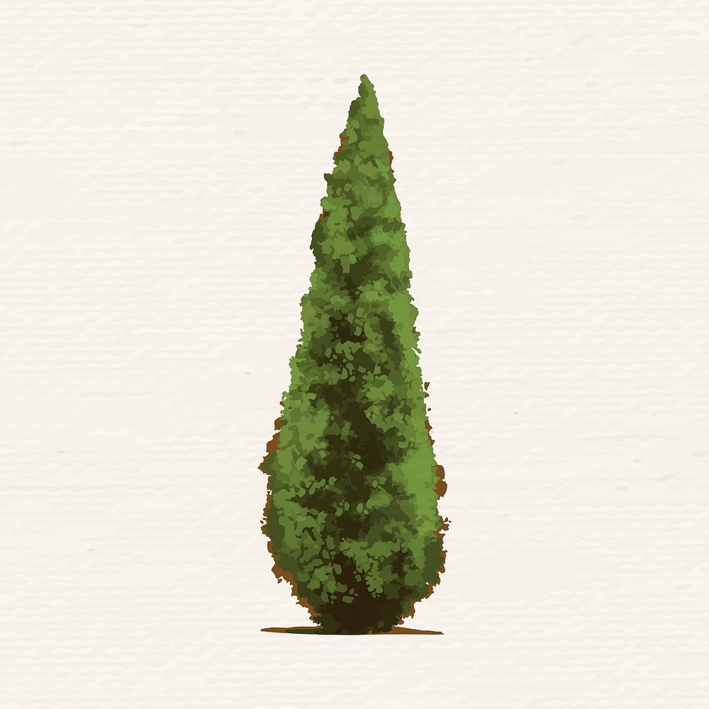 Hand drawn conical tree vector