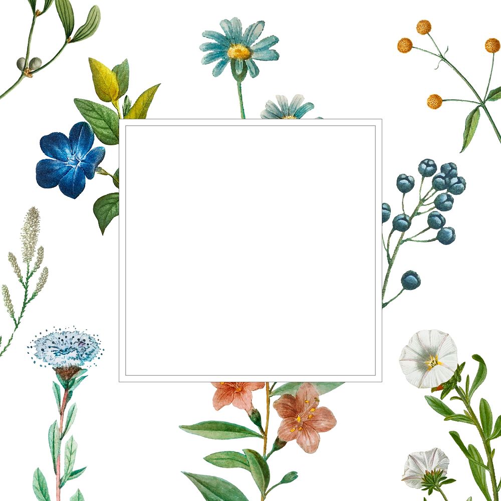 Square frame on a floral background vector