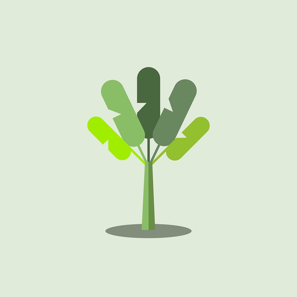 Green botany banana tree vector