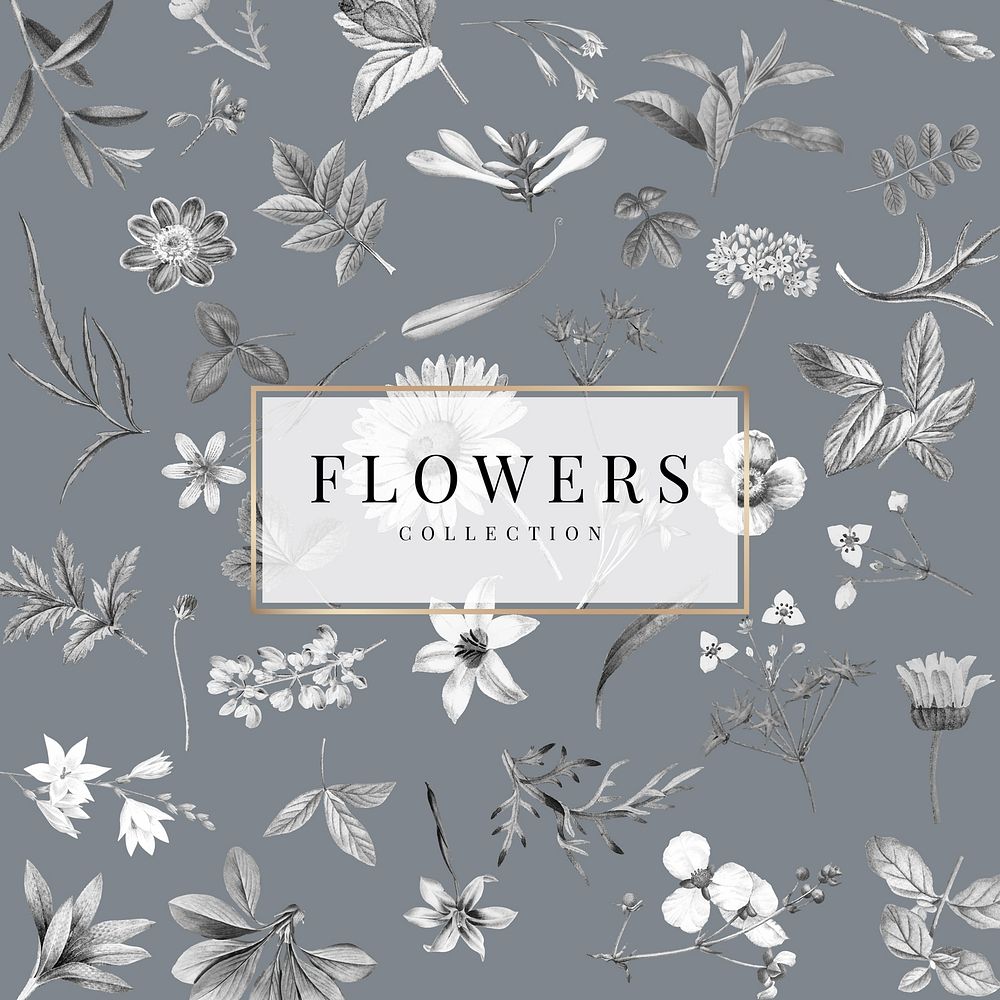 Flowers collection on a gray background vector