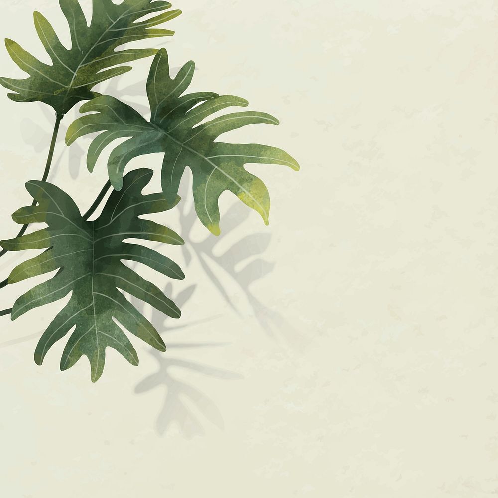 Philodendron radiatum leaf pattern on beige background vector