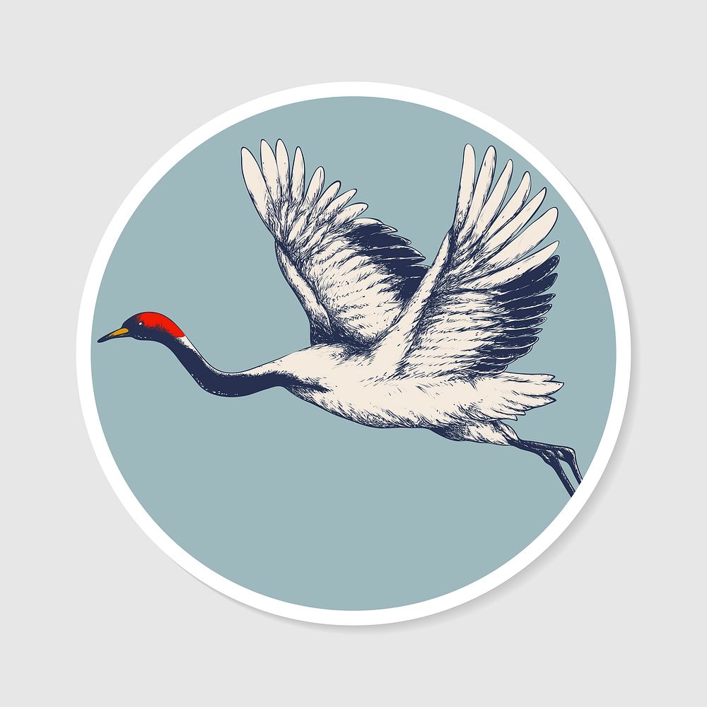Traditional Japanese red crowned crane sticker with white border vector