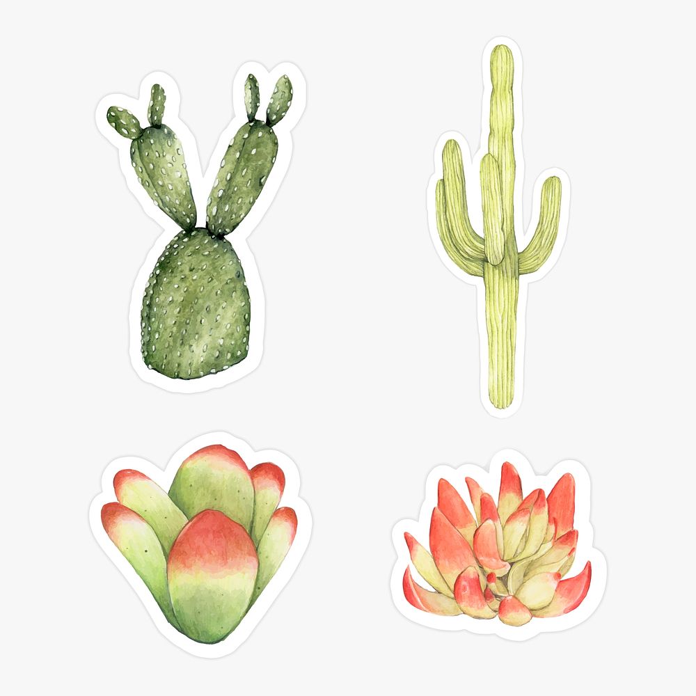 Set of cactus and succulent watercolor sticker doodle vector