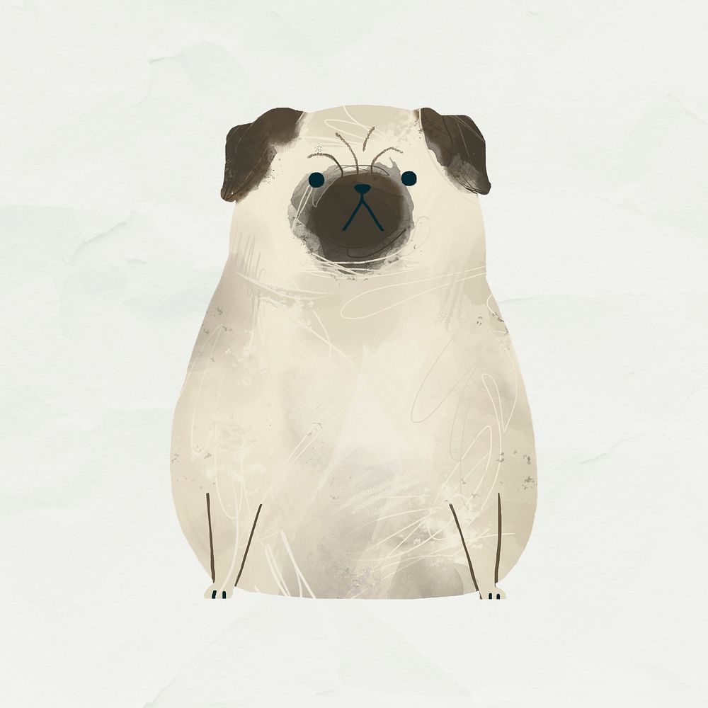 Pug dog drawing on white background