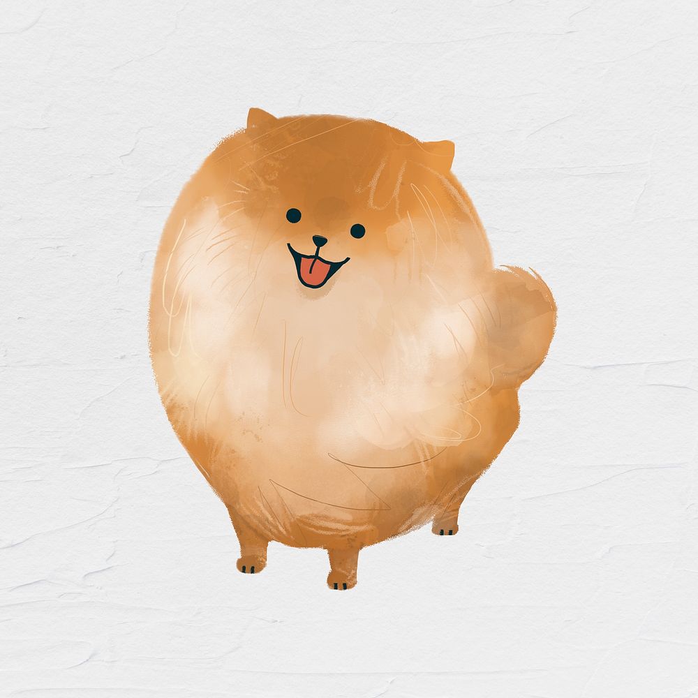 Pomeranian dog drawing on white background