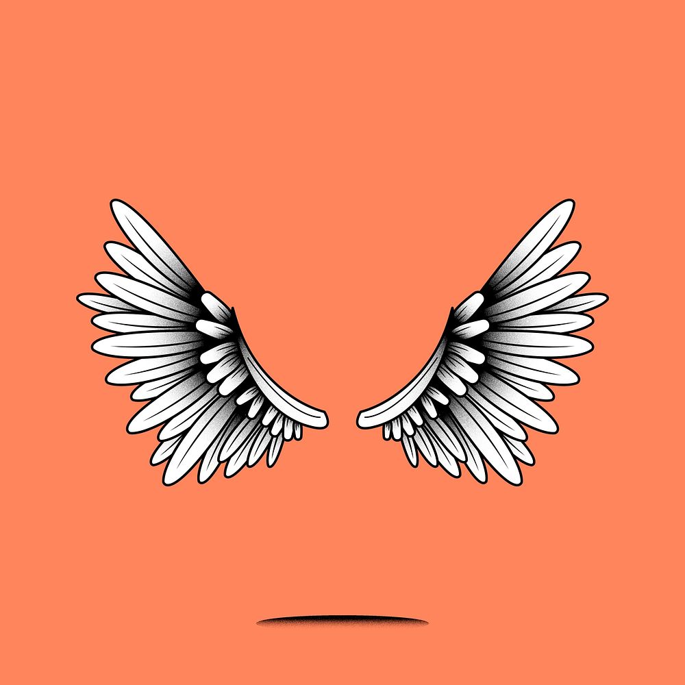 Pair of wings element on an orange background vector