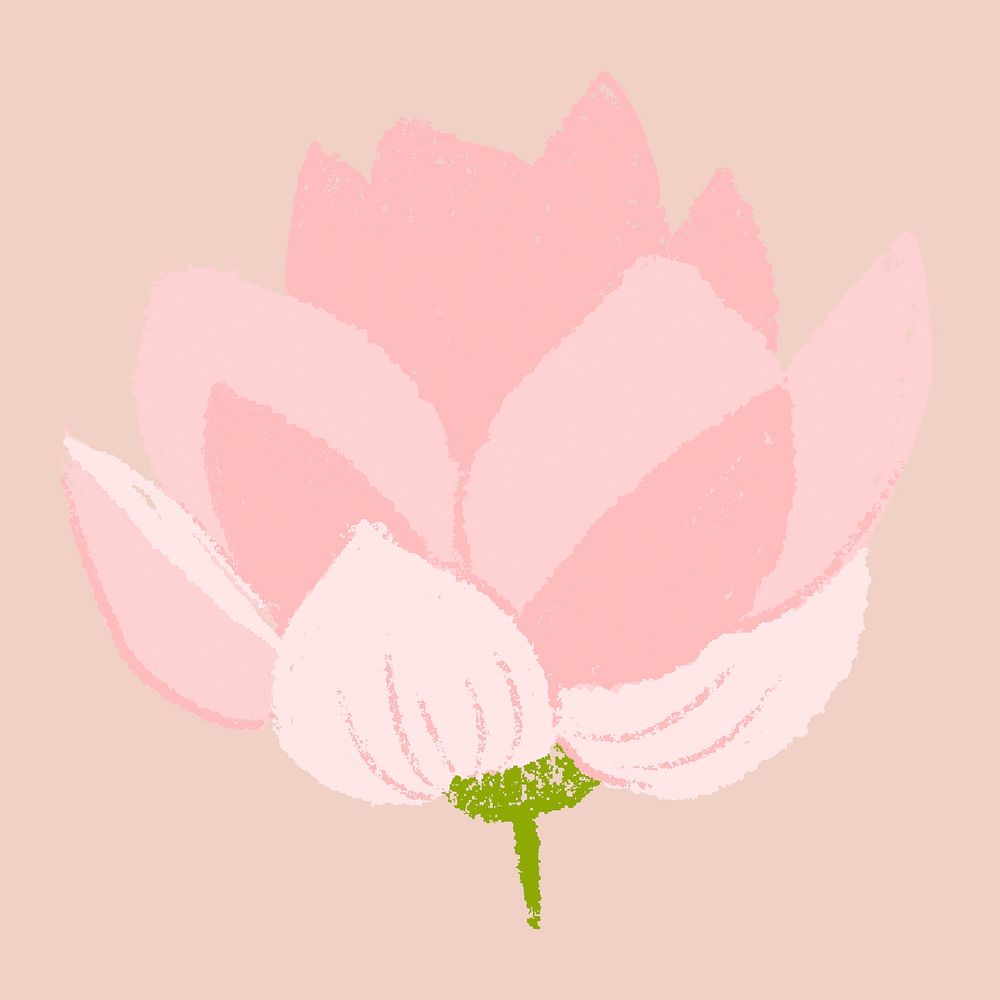 Lotus pink flower sticker vector hand drawn illustration