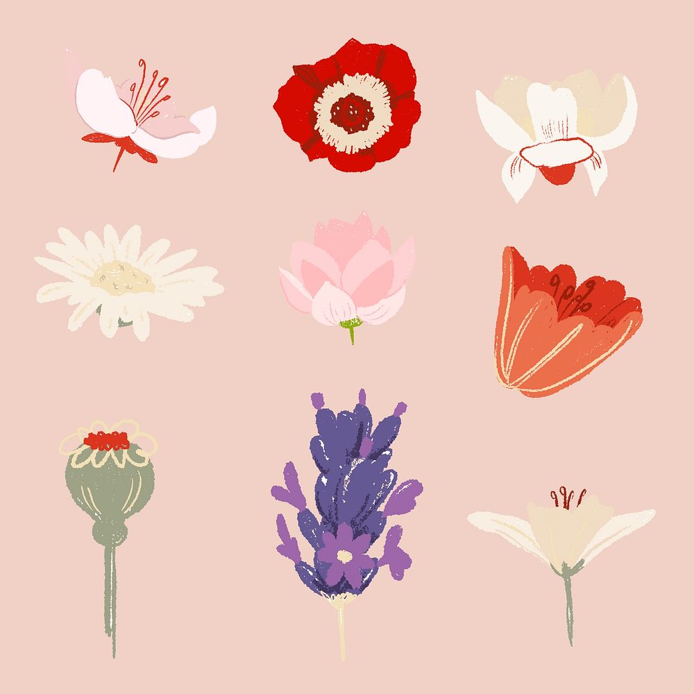 Beautiful flower stickers psd colorful illustration collection
