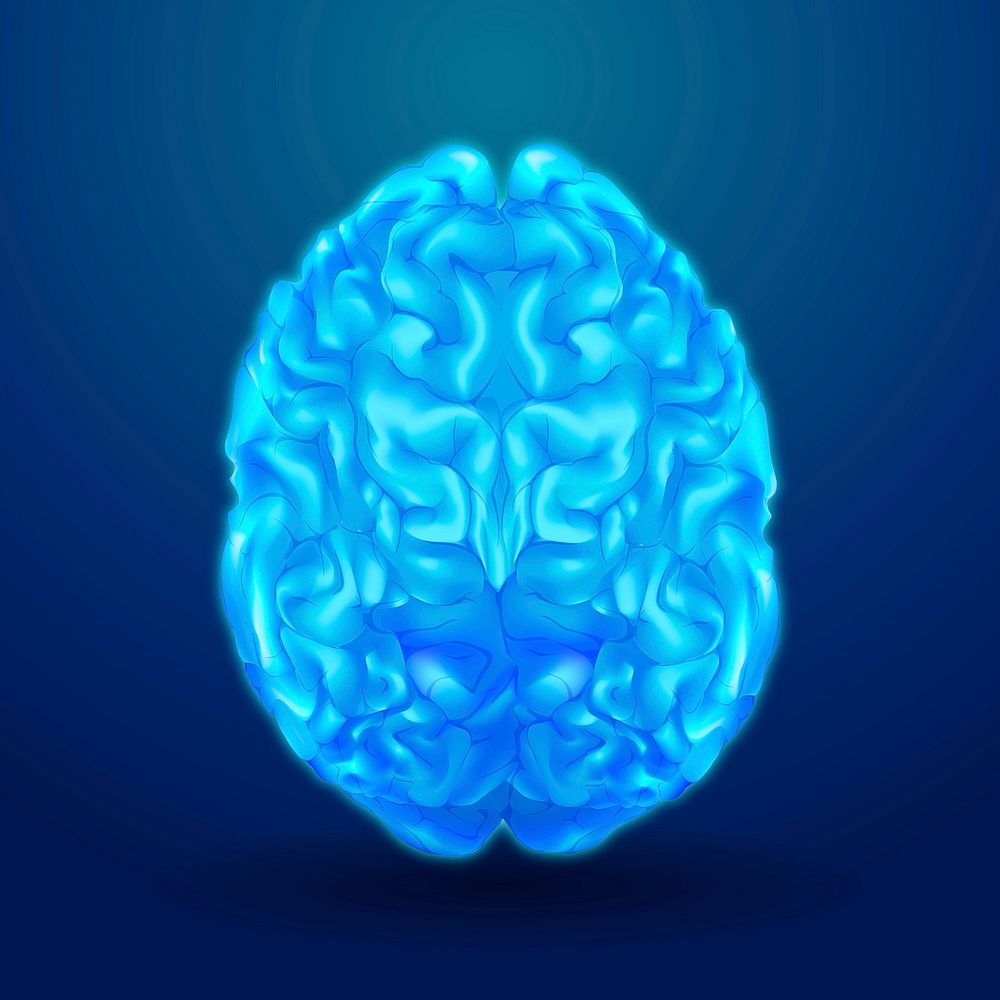 Blue anatomical brain illustration vector medical graphic