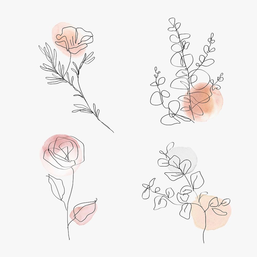 Flowers line art psd botanical watercolor minimal illustration set