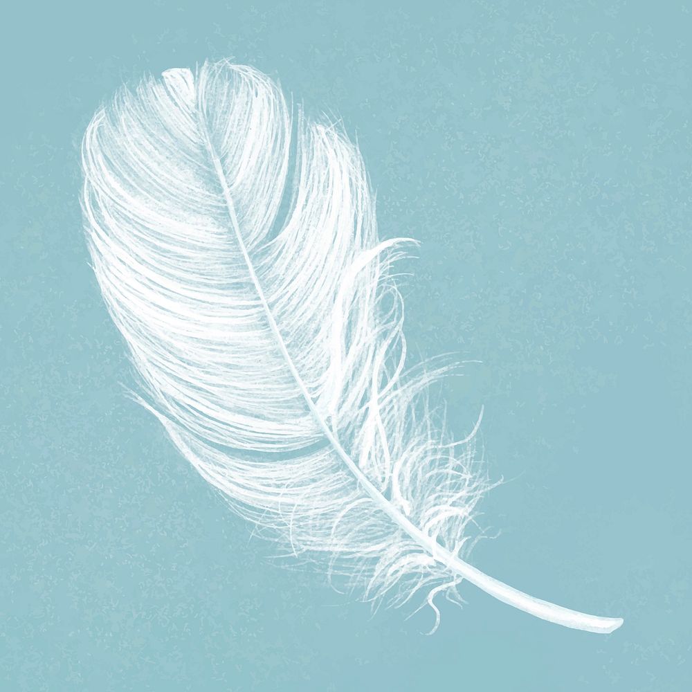 Hand drawn white feather vector on blue background