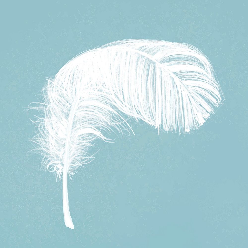 Hand drawn white feather vector on blue background