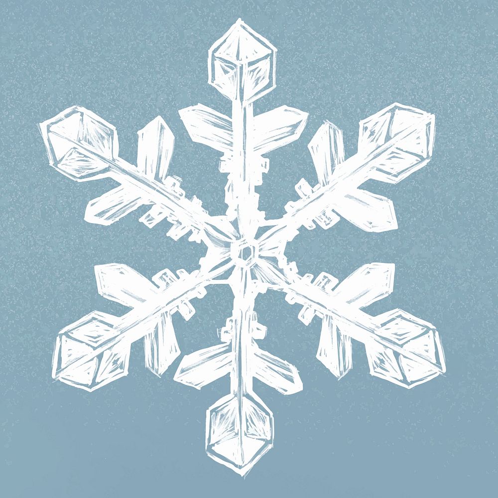 Winter snowflake illustration vector on blue background