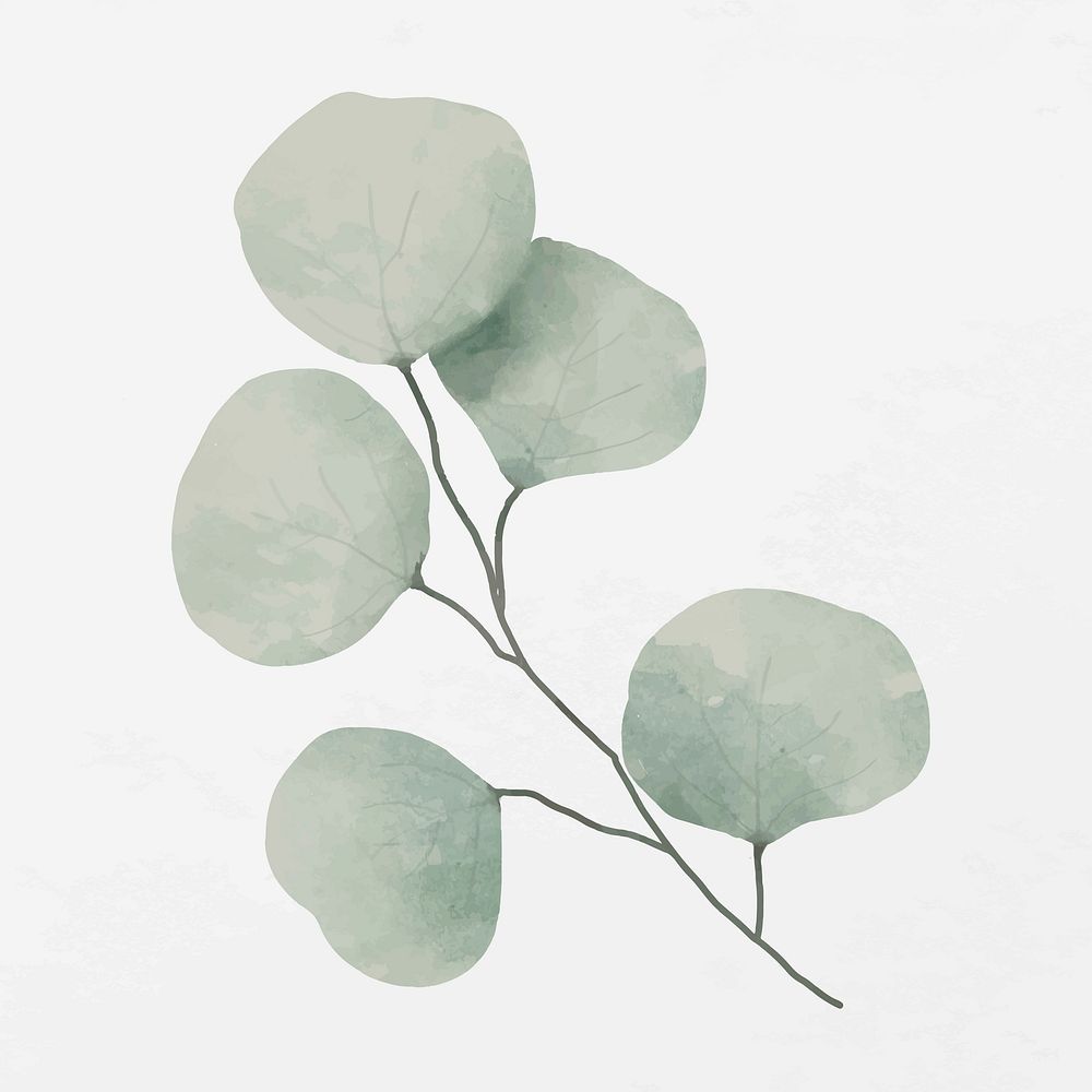 Green leaves branch illustration vector