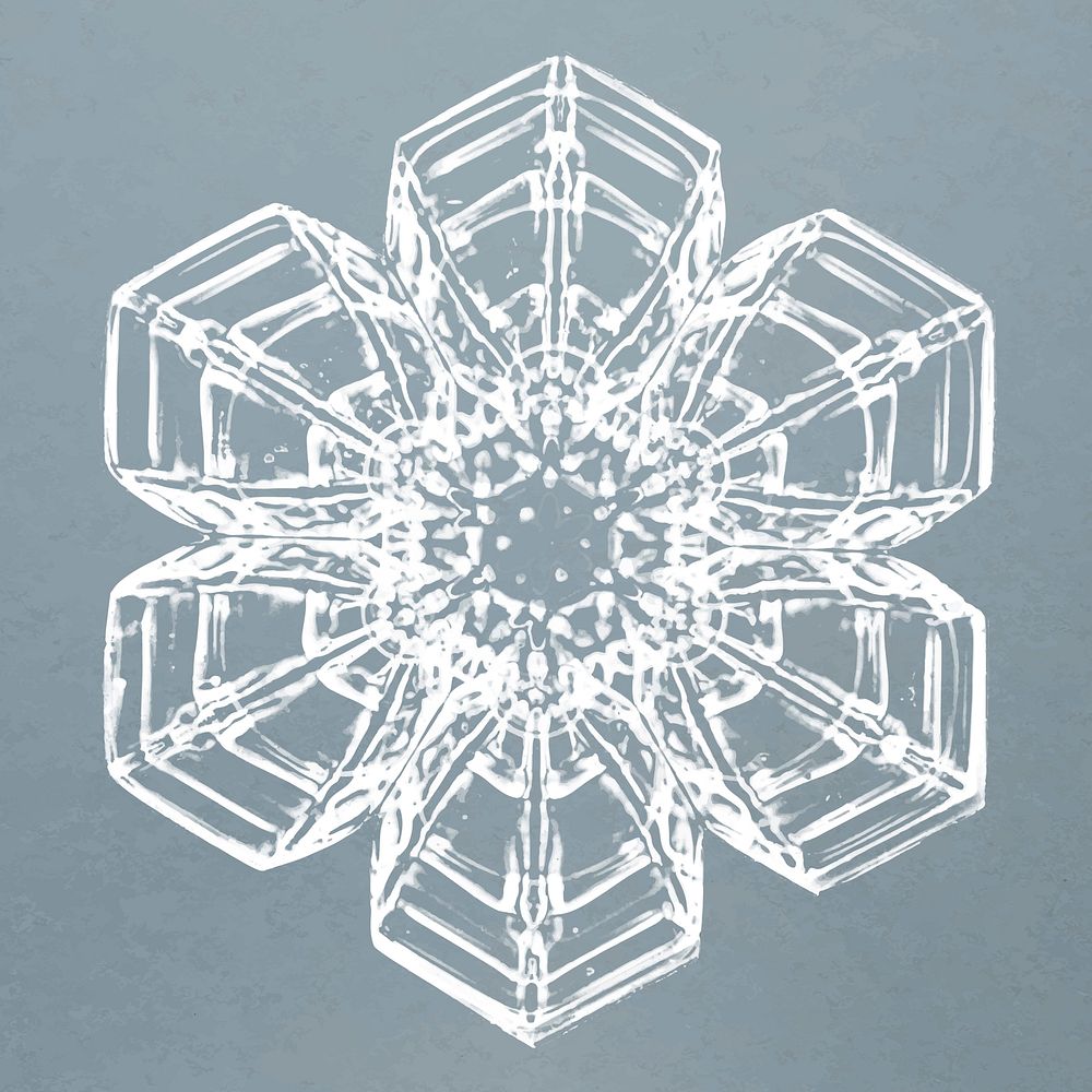 Realistic snowflakes element vector in blue background 