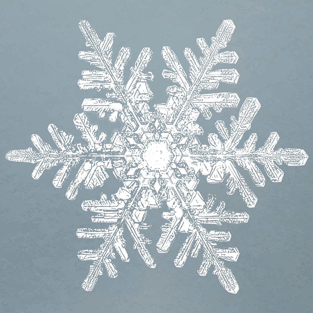 Realistic snowflakes element vector in blue background 