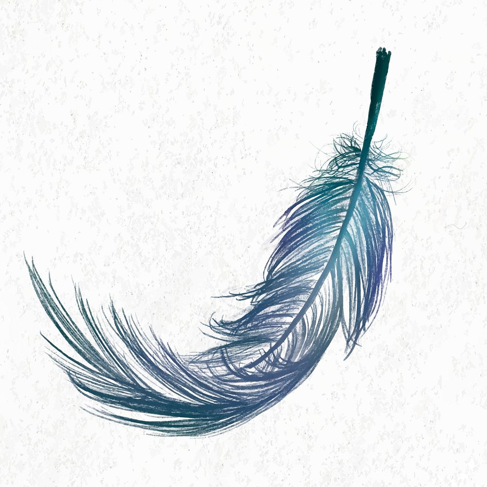 Blue feather element vector in white background