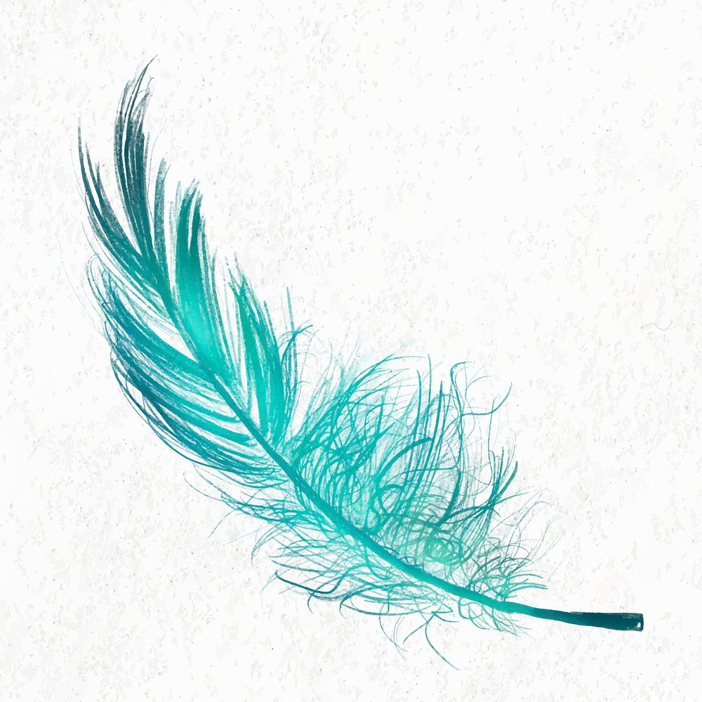 Green feather element vector in white background 