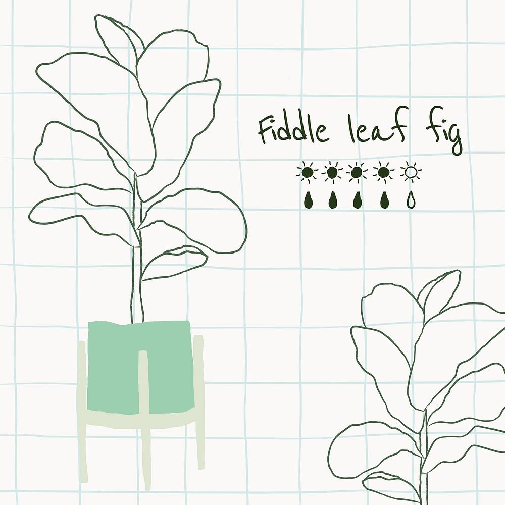 Doodle plant vector template for fiddle leaf fig