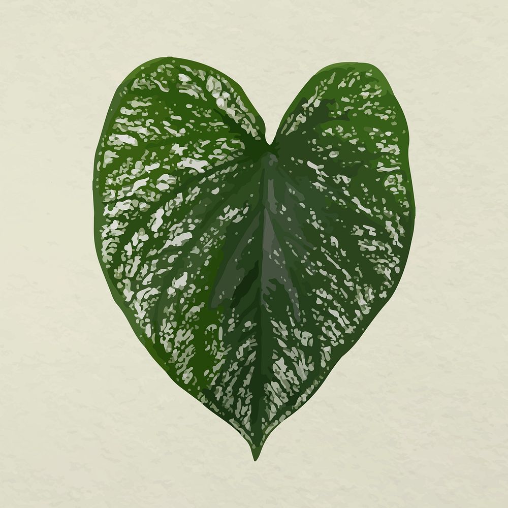 Leaf image vector, green Anthurium leaf plant