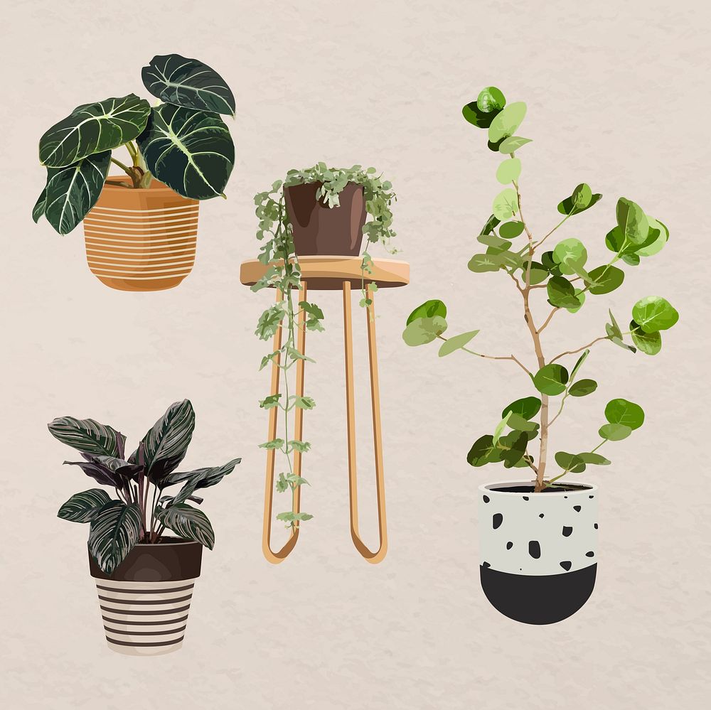 Plant vector art, Houseplant set in flower pots