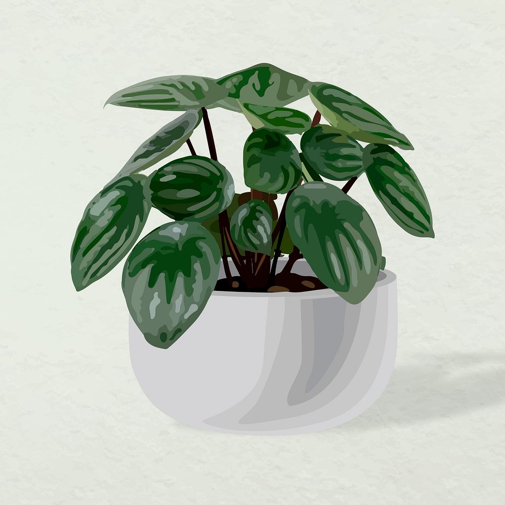 Plant vector image, home decoration