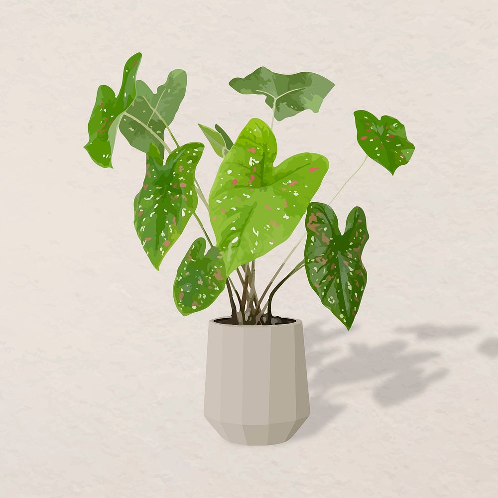 Potted plant vector, African mask plant potted home interior decoration