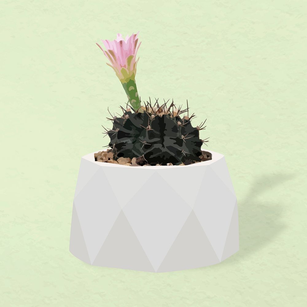 Potted plant vector, Hedgehog cactus potted home interior decoration