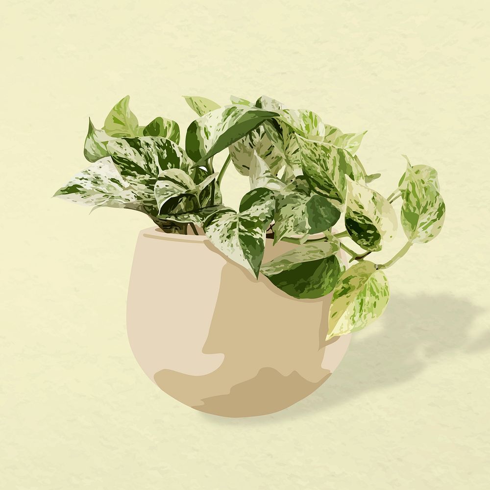 Plant vector image, marble queen pothos potted home interior decoration